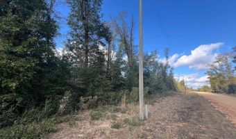 Kokomo Avenue, Alford, FL 32420