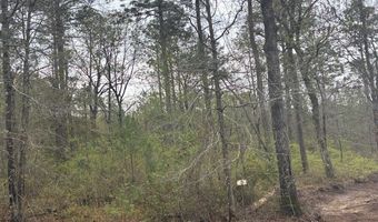 Lot 6 Allison Drive, Bainbridge, GA 39819