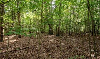 County Road 2, Addison, NY 14801