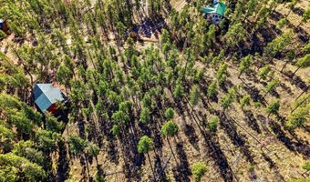 12 W Pergatory Dr, Alpine, AZ 85920
