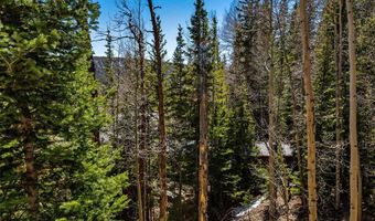 270 Co Rd 667 Lot 0, Alma, CO 80440