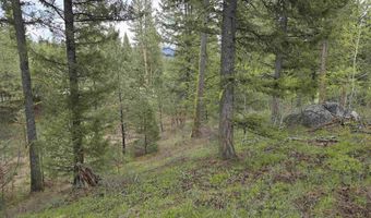 L3 B2 Rehn Loop, Cascade, ID 83611