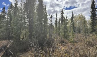 B005 Packsaddle Road, Chickaloon, AK 99674