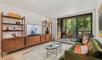 332 VINE St, Aspen, CO 81611