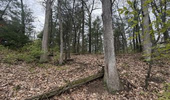 Wildwood Drive 9, Allegan, MI 49010