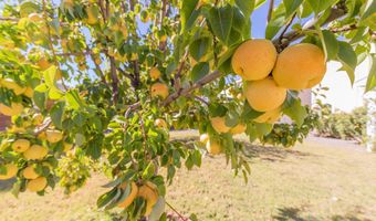 272 Burnage Ln, Alamogordo, NM 88310