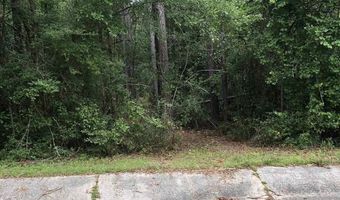 Lot 8 Virecent Rd, Cantonment, FL 32533