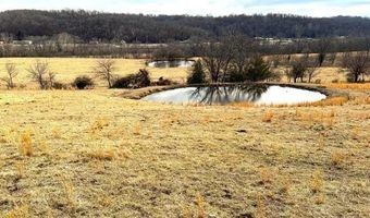 62 Acres N Business 71 Hwy, Anderson, MO 64831