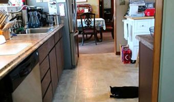 602 Lockwood St, Alpena, MI 49707
