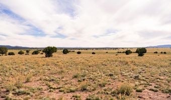 000- B1 Kirby Ln, Ash Fork, AZ 86320