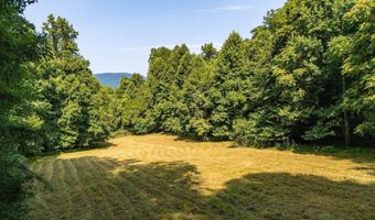 2476 ENNIS MOUNTAIN Rd, Afton, VA 22920