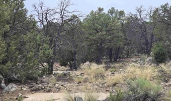 Lobo Ranch Road, Arroyo Hondo, NM 87513