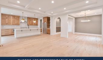 3113 8TH St N, Arlington, VA 22201