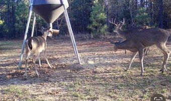 2042 E 1980, Antlers, OK 74523