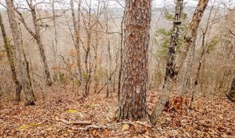 County Road 19-A, Alton, MO 65606