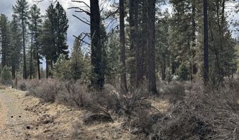 Bufflehead Drive TL 10, Bonanza, OR 97623
