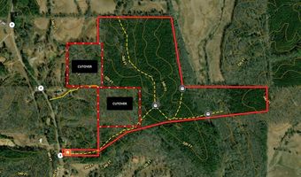 HWY 9, Banner, MS 38913