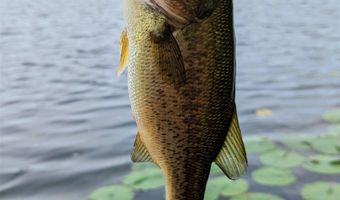 N5978 W ALASKA LAKE Road, Algoma, WI 54201