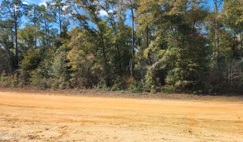 Breese Court lot 29, Alford, FL 32420