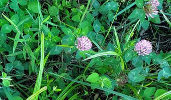 4775 S 50th Rd, Aldrich, MO 65601