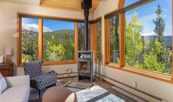 1139 BOREAS PASS Rd, Breckenridge, CO 80424