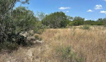 195 CR 1461 Lot 8, Alice, TX 78332