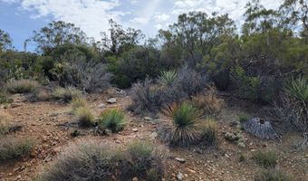 000 Palace Dr, Mountain Center, CA 92561