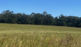 3830 31st Ave, Bell, FL 32619