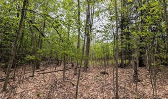 Stewart Road, Addison, NY 14801