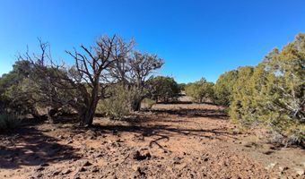 5 N8716, Concho, AZ 85924