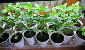 4775 S 50th Rd, Aldrich, MO 65601