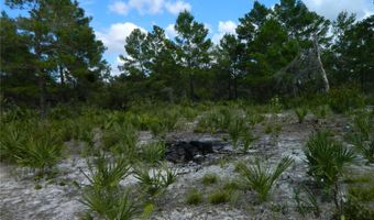 2220 N ALTAIR Rd, Avon Park, FL 33825