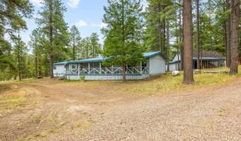 50 County Rd 2271, Alpine, AZ 85920