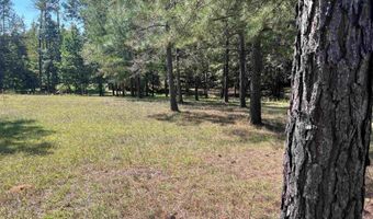 00 Longleaf Rdg, Atmore, AL 36502