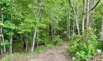 3164 Trent Hatchery Rd, Appomattox, VA 24522