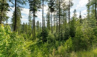 401 Saddlehorn Trl, Bigfork, MT 59911