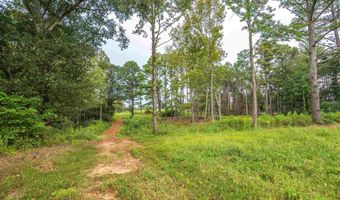 Tract 1 Highway 99, Anderson, AL 35610