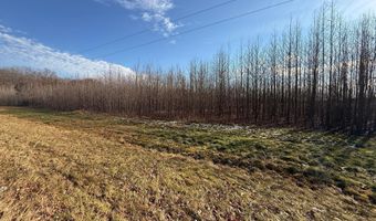 BLACK SWAMP ROAD, Felton, DE 19943