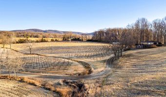 4500 WINERY Ln, Barboursville, VA 22923