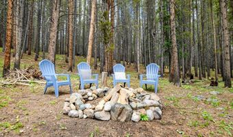 218 GOLDEN CROWN Ln, Blue River, CO 80424