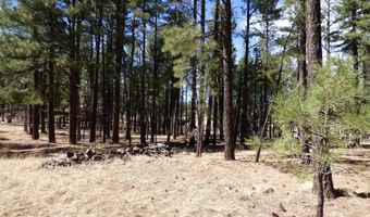 8 B County Road 2267 Escudilla Rd, Alpine, AZ 85920