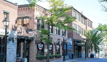 1305 E ABINGDON Dr 2, Alexandria, VA 22314