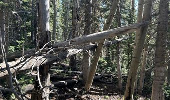 W Hunter Ridge Dr, Brian Head, UT 84719