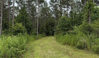 154 County Road 38 Acres, Banks, AL 36005