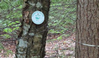 Jesus Valley Road lot 5-2-1, Alton, NH 03810