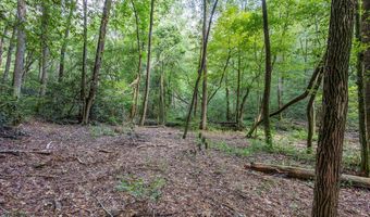 23 59 Ac Chestnut Flats Rd, Andrews, NC 28901