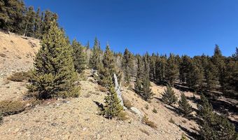 0 County Road 787, Alma, CO 80420