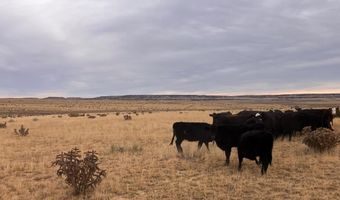 County Road 91.9, Aguilar, CO 81020