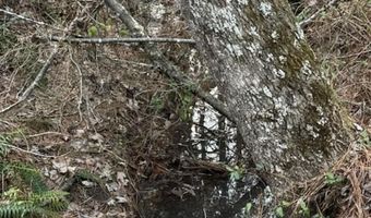0- Lot 7 Piney Mountain Rd, Appomattox, VA 24522