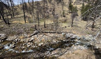 122 Black Hollow Rd, Bellvue, CO 80512